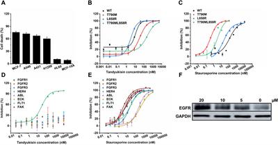 Marine-derived EGFR inhibitors: novel compounds targeting breast cancer growth and drug resistance